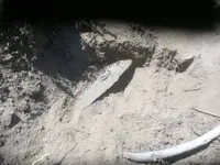 2015 Knife in-situ.webp