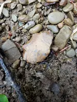 20190524_150606.webp
