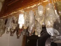 1556184949244381693769.webp