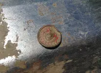 vermontbutton1.webp