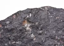 chert with phenocrysts.webp