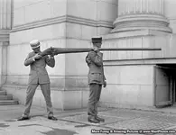 Punt-Gun-A-Huge-Shotgun.webp