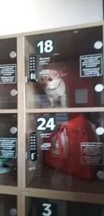 9DkO0sX6_2019602052555.webp