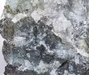 radiating fracture3.webp
