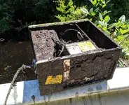 5-14-2019 (1).webp