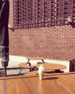 nyQZmEmC_2019701124759.gif