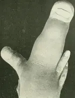 4afbbeaf34e36d1dccb1a6433cec7319.webp