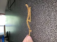 20190617_161410.webp