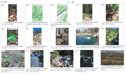 Untitled.webp