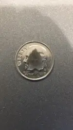 Smallest Birdy.webp