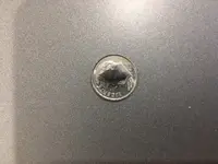 Other Smallest Birdy.webp