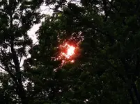 K1600_DSCN5229.webp