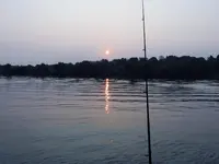 K1600_DSCN5242.webp