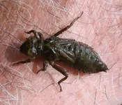 DSCN5252.webp
