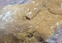 yellow crystals1a.webp yellow crystals1a.webp