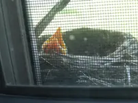 DSCN9751.webp