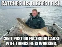 large fish.webp