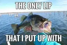 Lip.webp