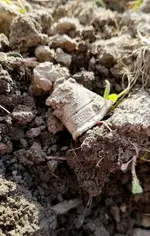 20190609_120217.webp