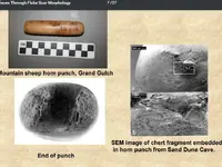 geib sheephorn punch.webp