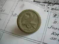 Field finds 5-12-08 011.webp