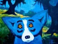 bluedog01.webp
