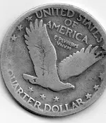 standing liberty (back).webp
