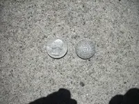 DSCN4033.webp