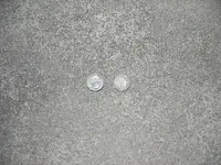 DSCN4036.webp