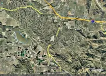 lambscnyn.webp
