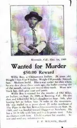 willieboywanted.webp