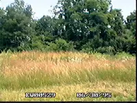 !EW005029.webp