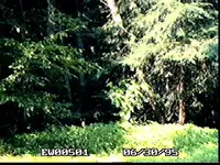 !EW005001.webp