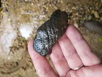20190623_160953.webp