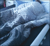 A6FAE23E-8A62-4AFF-9FF6-C038B26B771F.gif