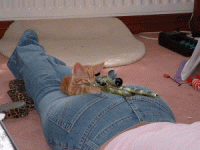 564b7313b97d8df3c930e167f982c9fd.gif