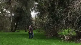 Metal Detecting an Old Homesite 2019.webp
