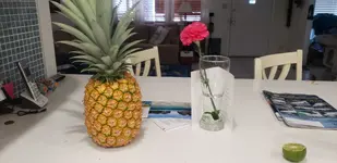 20190602_092718.webp 20190602_092718.webp