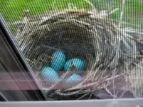 DSCN9698.webp