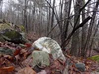 DSCN0562.webp