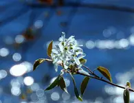 K1600_DSCN4391_InPixio.webp
