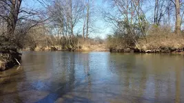 The Creek to Cross.webp