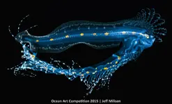 1st-m-ocean-art-2015-jeff-milisen-1500_sm.webp