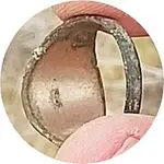 20190504_105623-crop.webp