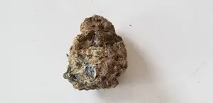 rock 1.webp