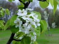 K1600_DSCN4540.webp