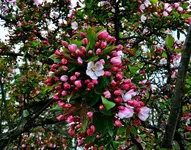 K1600_DSCN4545.webp
