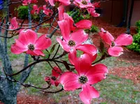 K1600_DSCN4542.webp