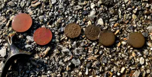 IMG_1516-coins-A.webp