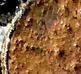 IMG_1516-coins-Bcrop.webp